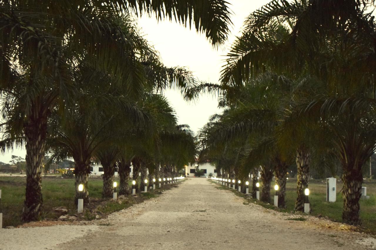 Real Primaveras Campestre Escárcega المظهر الخارجي الصورة